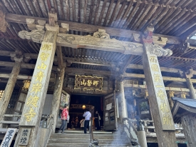 Nachisan Seigantoji temple.jpeg