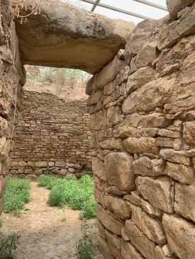 The Mycenaean cemetery at Dendra.jpeg